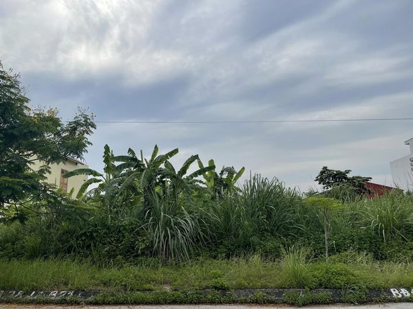 Bán Đất Biệt Thự 225m2,MT:9m Hà Khánh B trục đường 21m Siêu Đẹp !!!