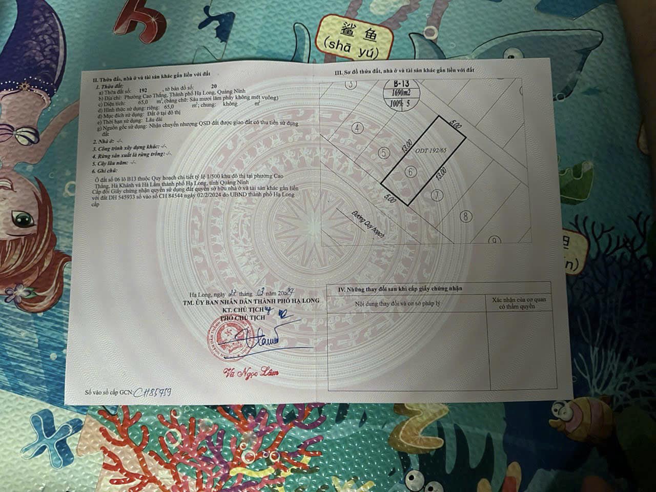 Bán Lô B13-6 KĐT Bãi Muối,P.Cao Thắng. DT:65m2,MT:5m.H:TN Giá Rẻ !!!
