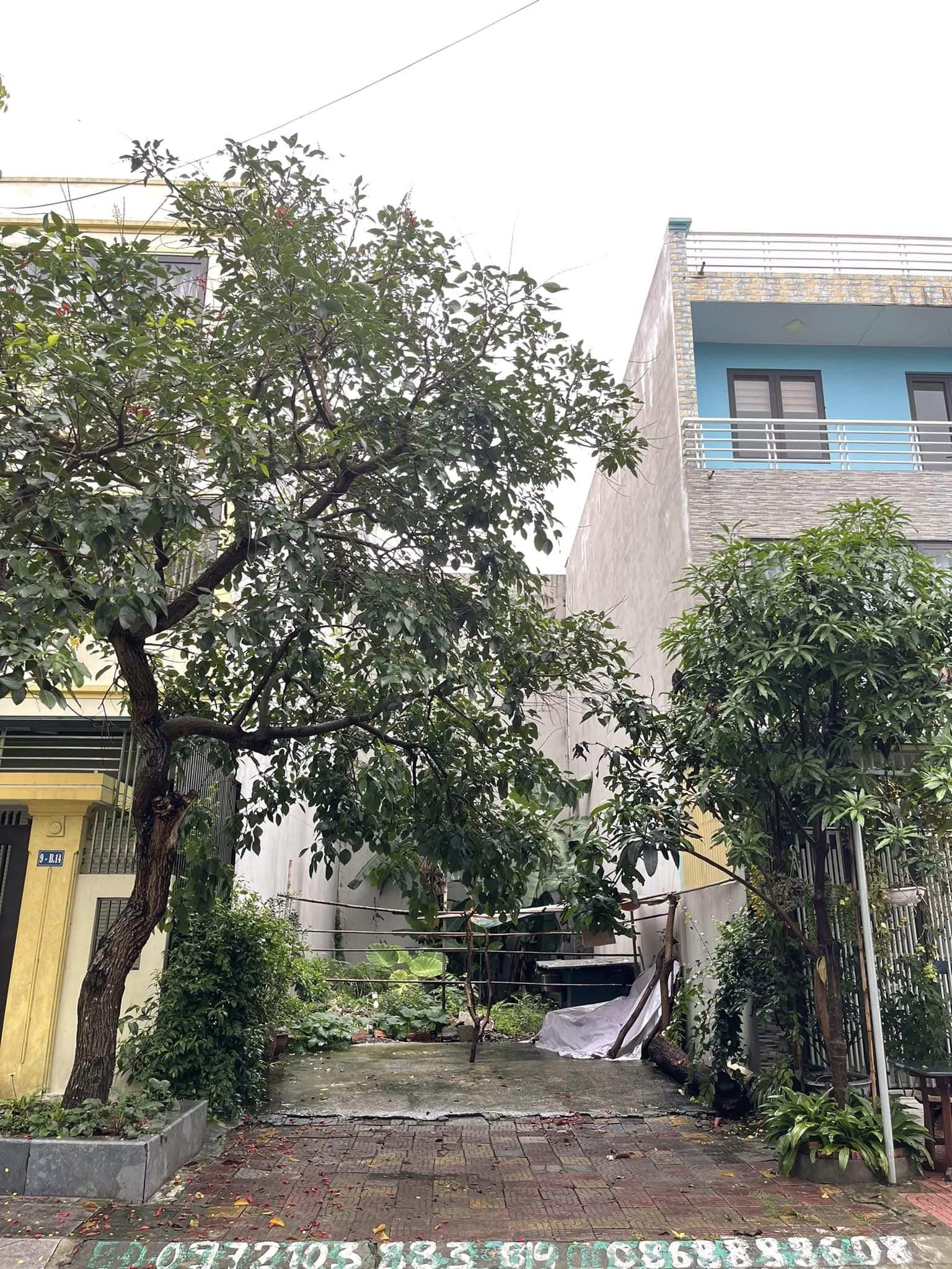 Bán B14-8 KĐT Cao Xanh,Hà Khánh A. DT:90m2,MT:6m Rất Đẹp !!!