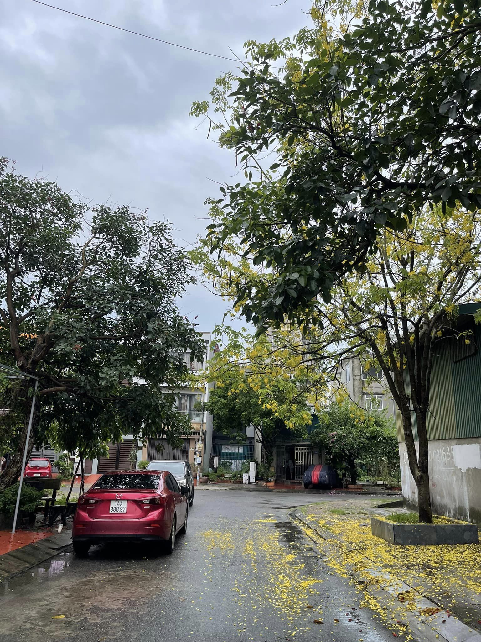 Bán B14-8 KĐT Cao Xanh,Hà Khánh A. DT:90m2,MT:6m Rất Đẹp !!!