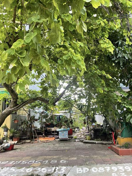 Bán Lô B’3-5 Khu Rẻ Quạt,P.Yết Kiêu. DT:90m2,MT:6m.H:Tây Bắc !!!