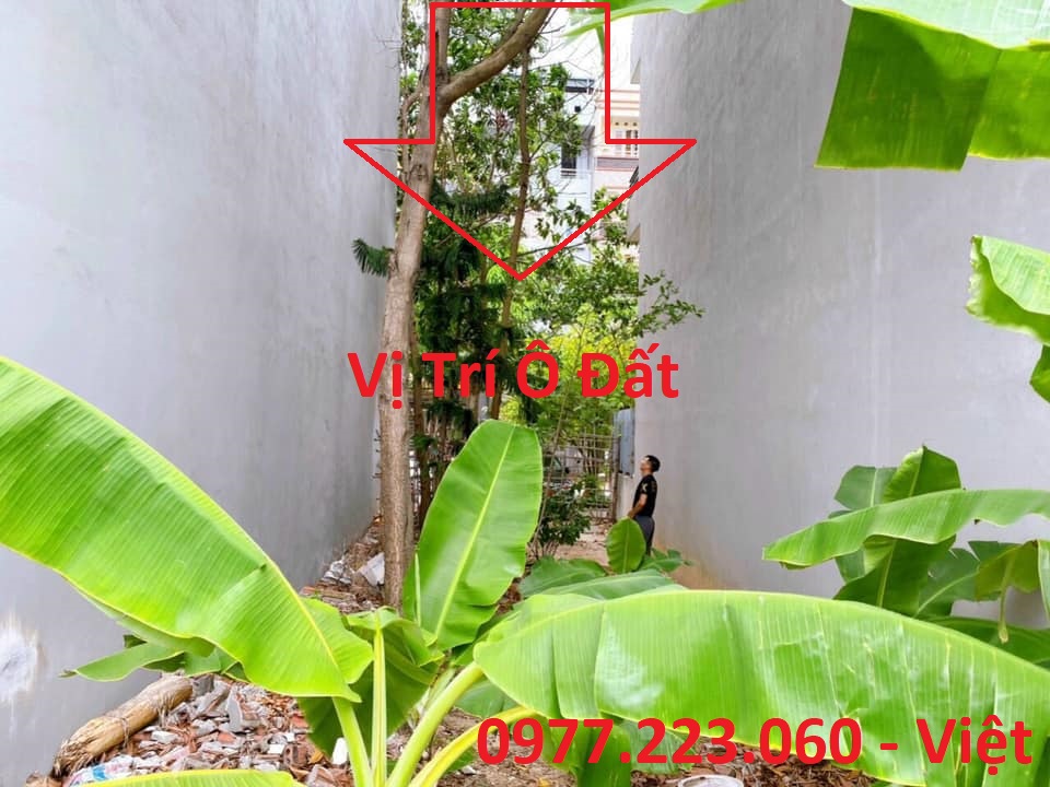 Bán Lô B33 KĐT Vựng Đâng thông Cao Xanh. DT:67.5m2,MT:4.5m.H:Tây Bắc !!!