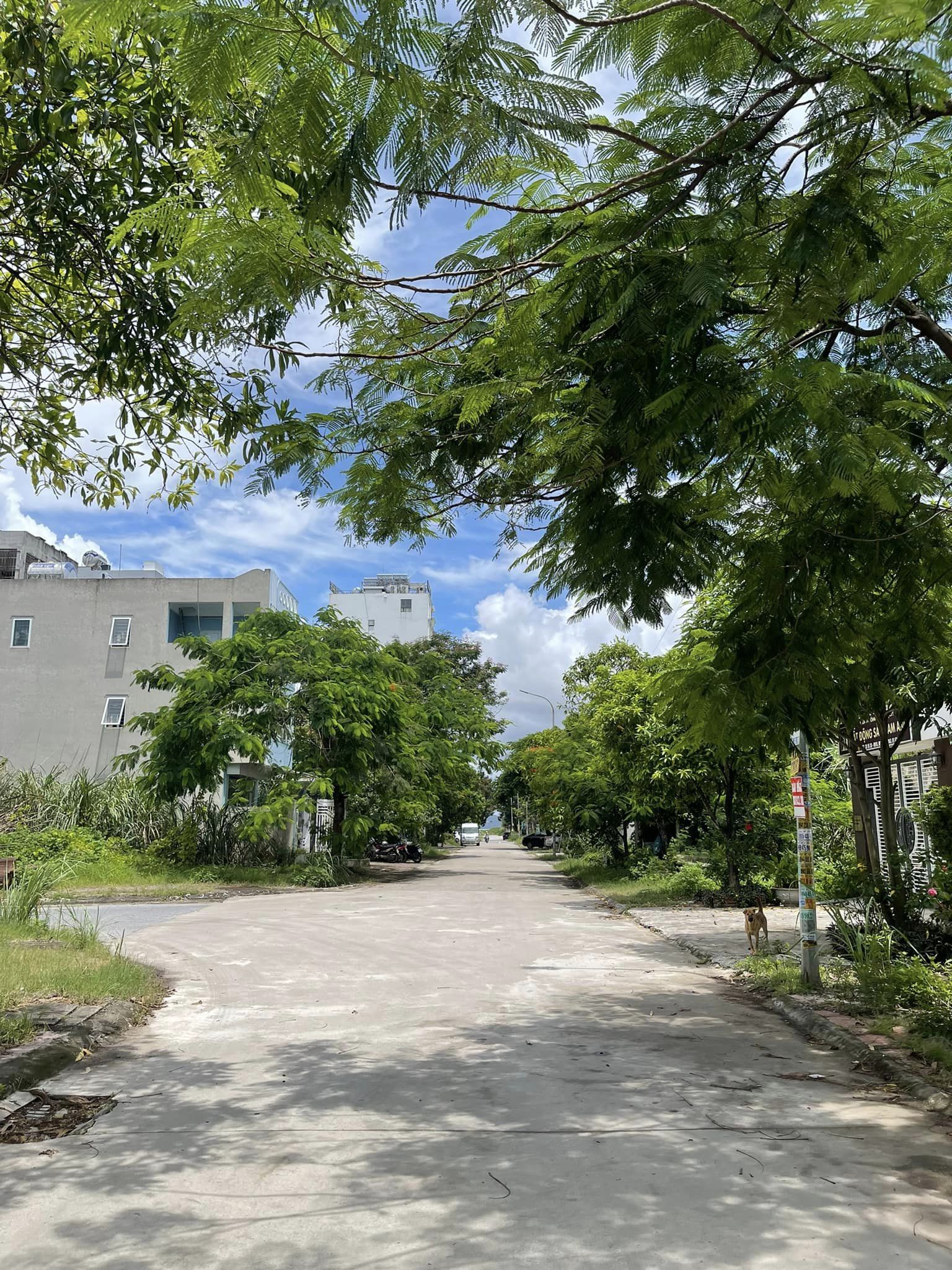 Bán Lô C2-18 KĐT Cao Xanh,Hà Khánh A. DT:200m2,MT:8m.H:TN