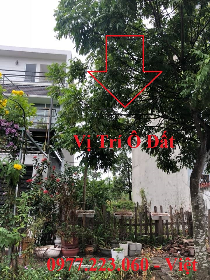 Bán Lô C1 KĐT Cao Xanh,Hà Khánh B. DT:99m2,MT:6m.H:Đông Nam !!!