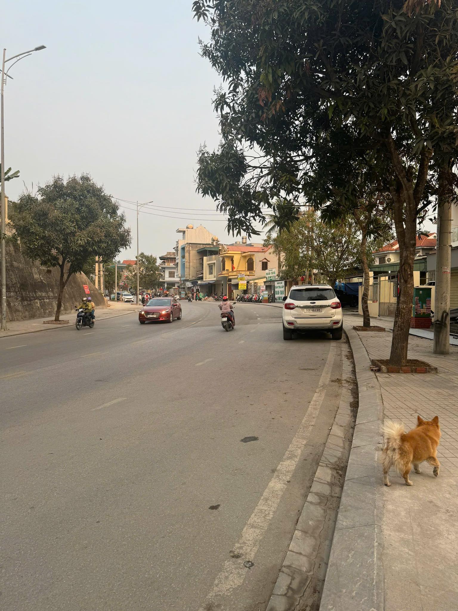 Bán Đất Mặt Đường Hà Trung,Hạ Long. DT:109m2,MT:6.37m !!!