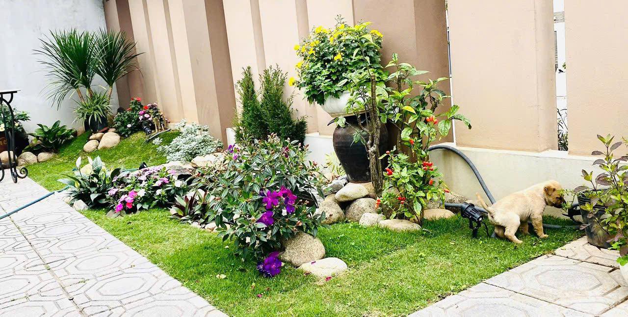 Bán Biệt Thự 3 Tầng Đồi T5. DT:216m2,MT:12m Siêu Đẹp Và Rẻ !!!